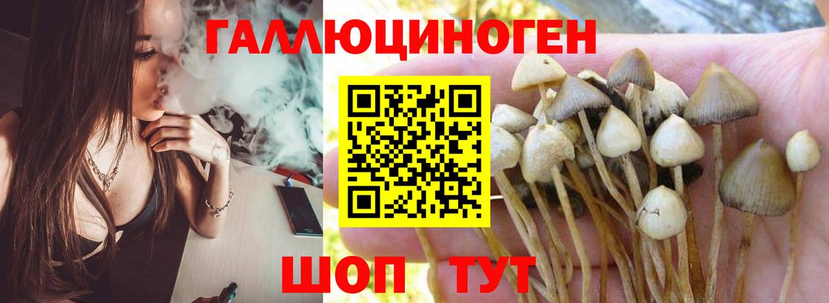 Псилоцибиновые грибы ЛСД Кунгур