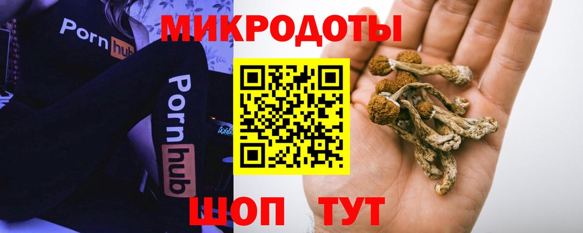 Галлюциногенные грибы мухоморы  Вход с VPN  Кунгур 